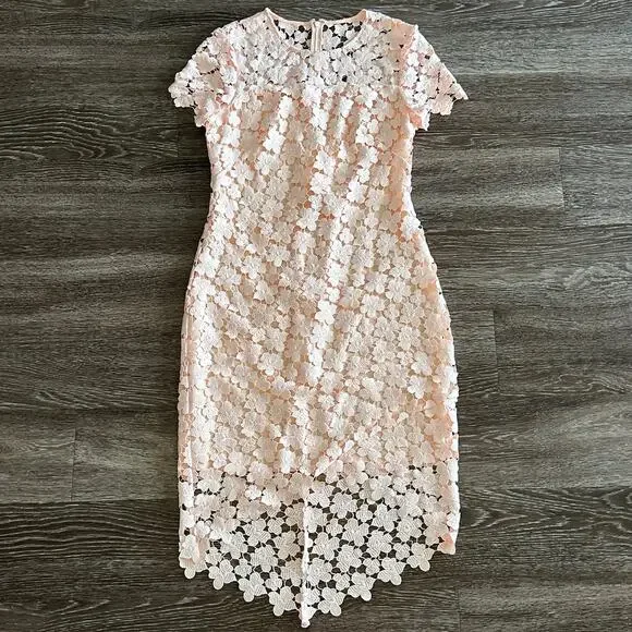 Shoshanna Marcella Lace Dress Blush Pink Anthropologie Floral Midi Size 4 - Picture 9 of 16